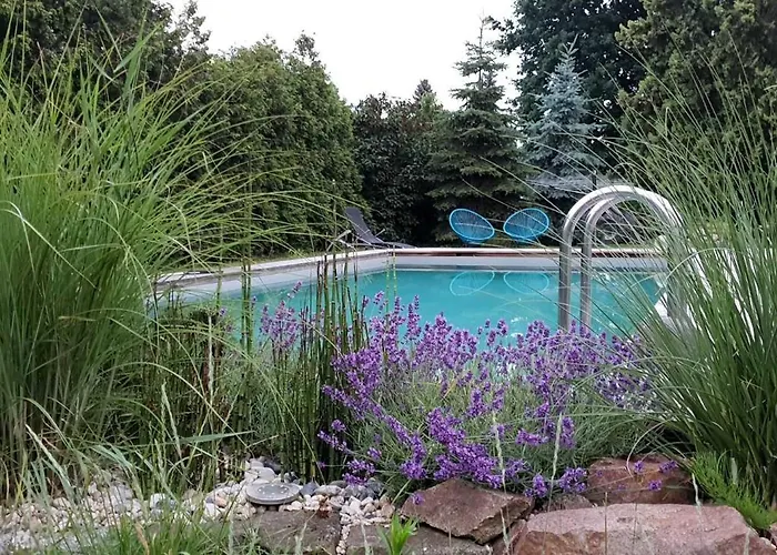 Kemping Schaeferwagen Gartenblick Nr 4 Radebeul